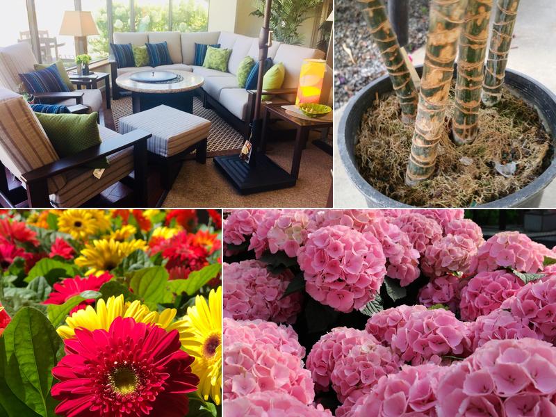 Under The Tent (Seasonal)