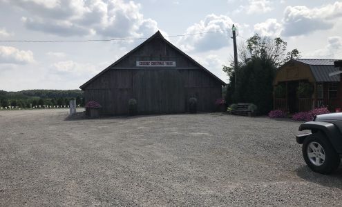 Cosgray Christmas Trees Idaville