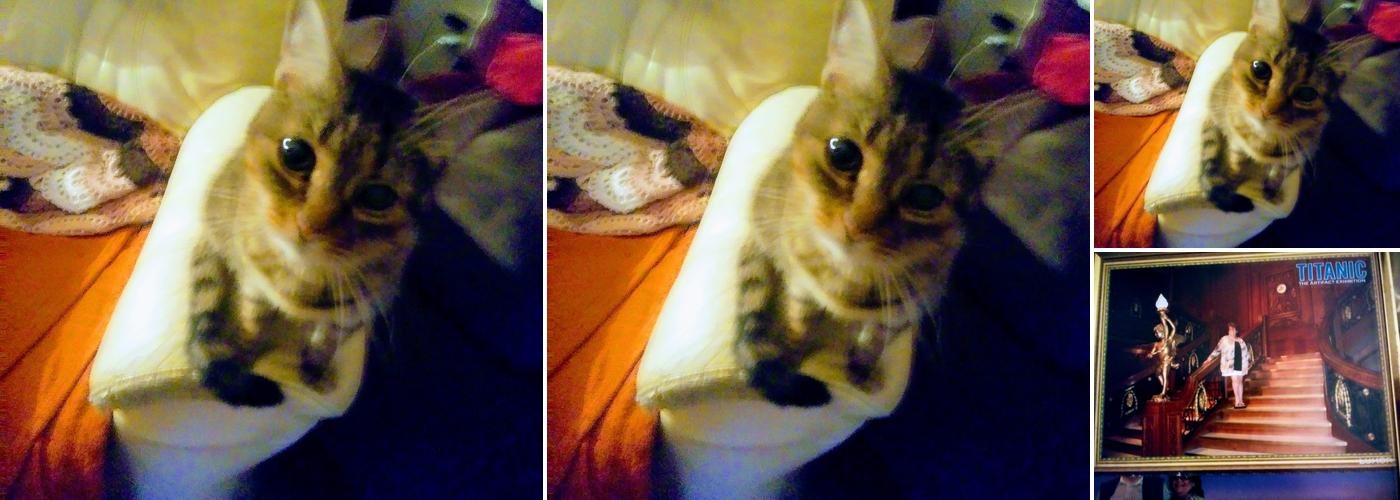 West Central Village