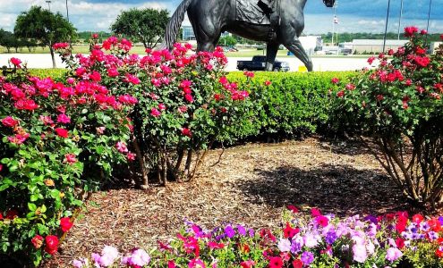 Lone Star Park