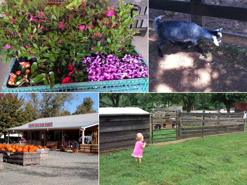 Chapel Hills Nursery