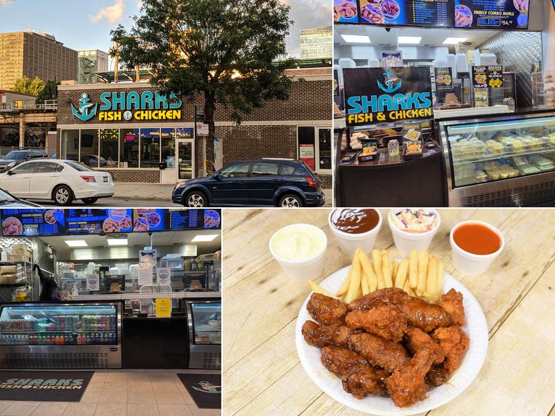 Sharks Fish and Chicken