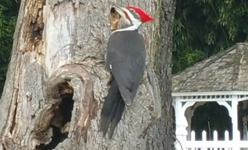 Nixons Farm West Friendship