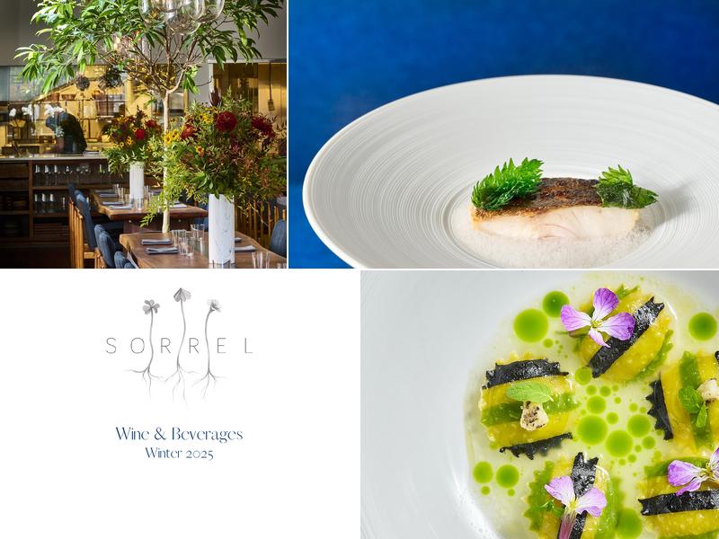 Sorrel