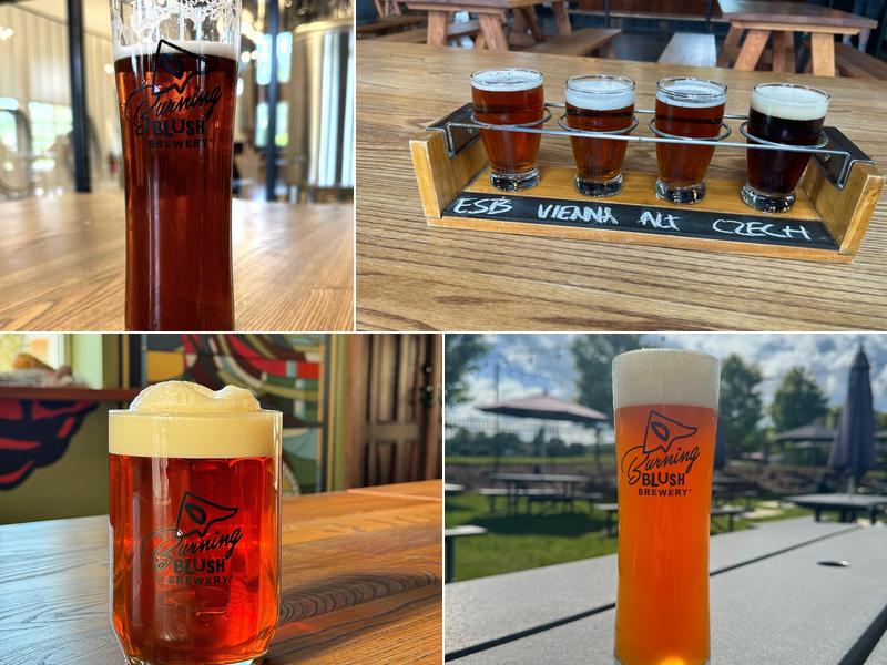 Burning Blush Brewery 4891 Boylston Hwy, Mills River