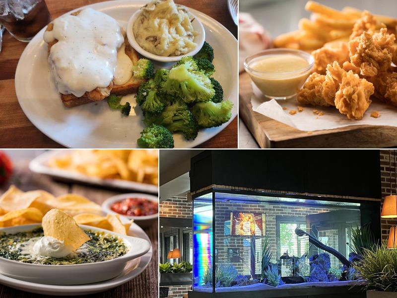 Cheddar's Scratch Kitchen