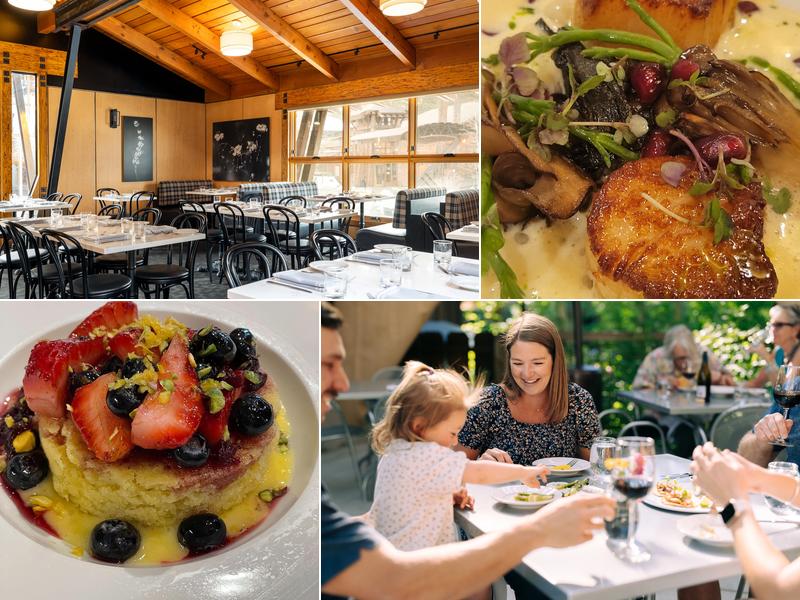 Stella 10948 Brockway Rd, Truckee