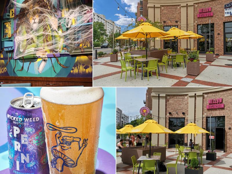 Mellow Mushroom Wilmington - Downtown