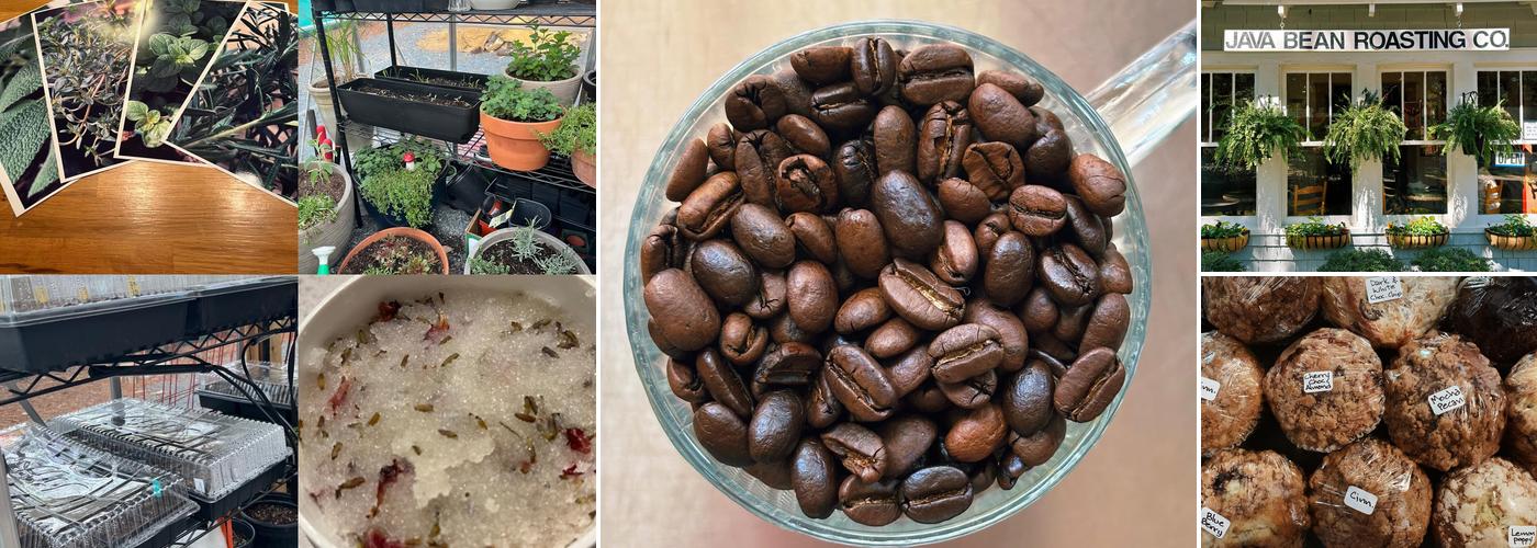 Java bean plantation abd Roastery