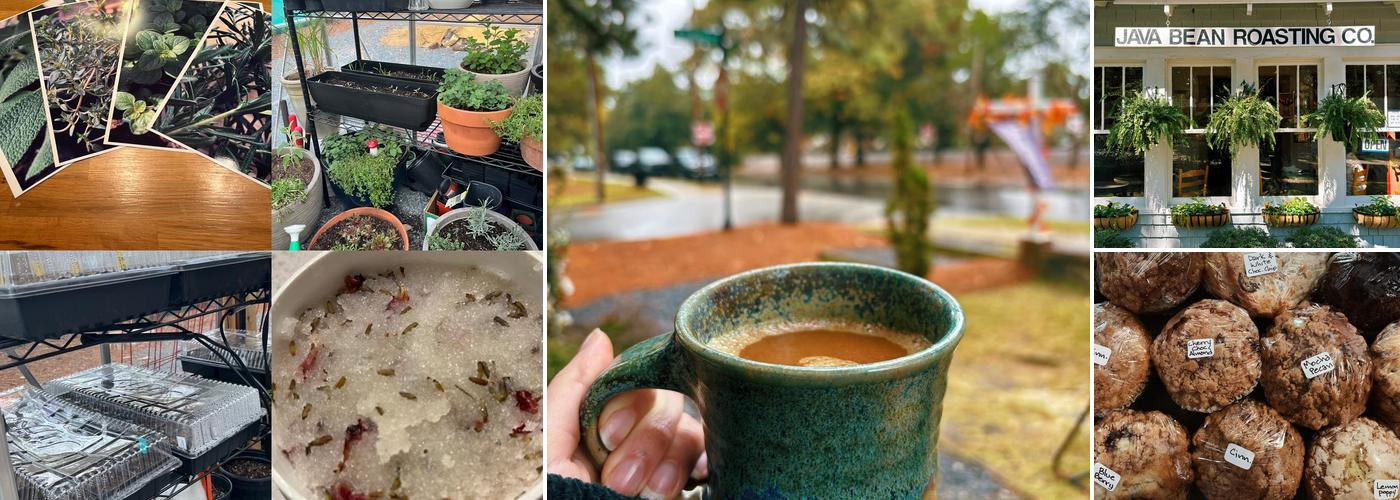 Java bean plantation abd Roastery