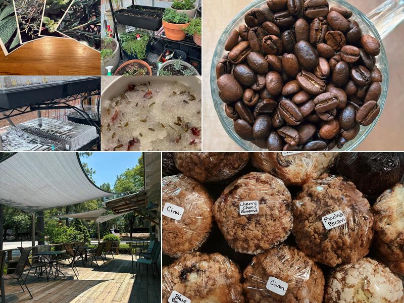 Java bean plantation abd Roastery