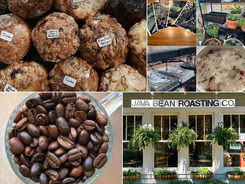 Java bean plantation abd Roastery