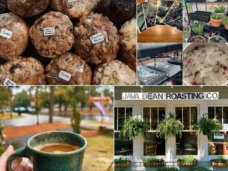 Java bean plantation abd Roastery