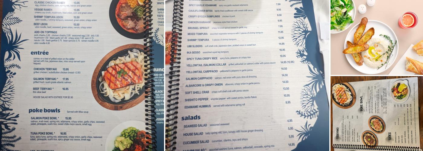 Umigame Japanese Kitchen Menu