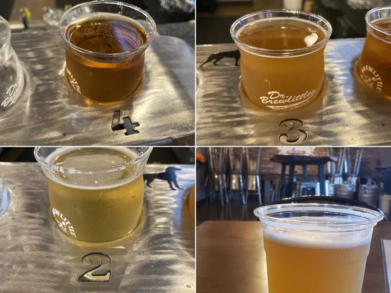 Dr. Brewlittle's Beer Co.