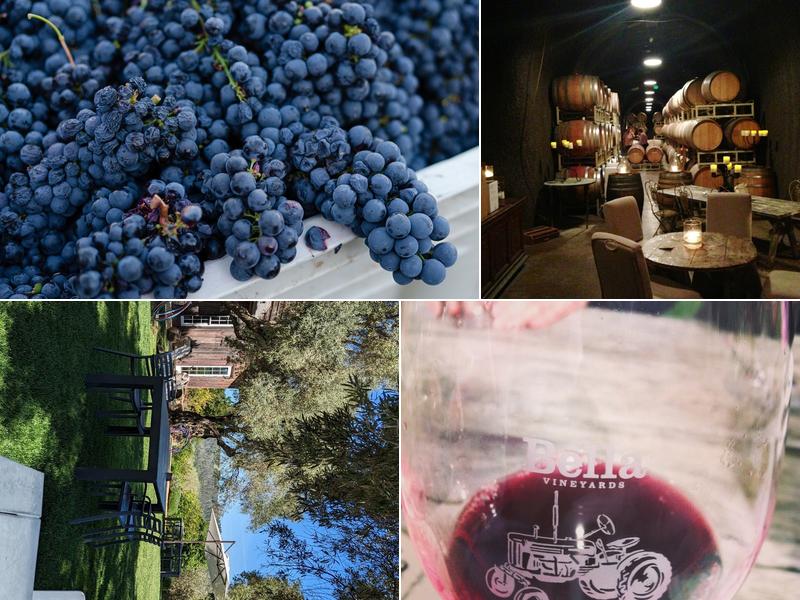 Bella Vineyards & Wine Caves