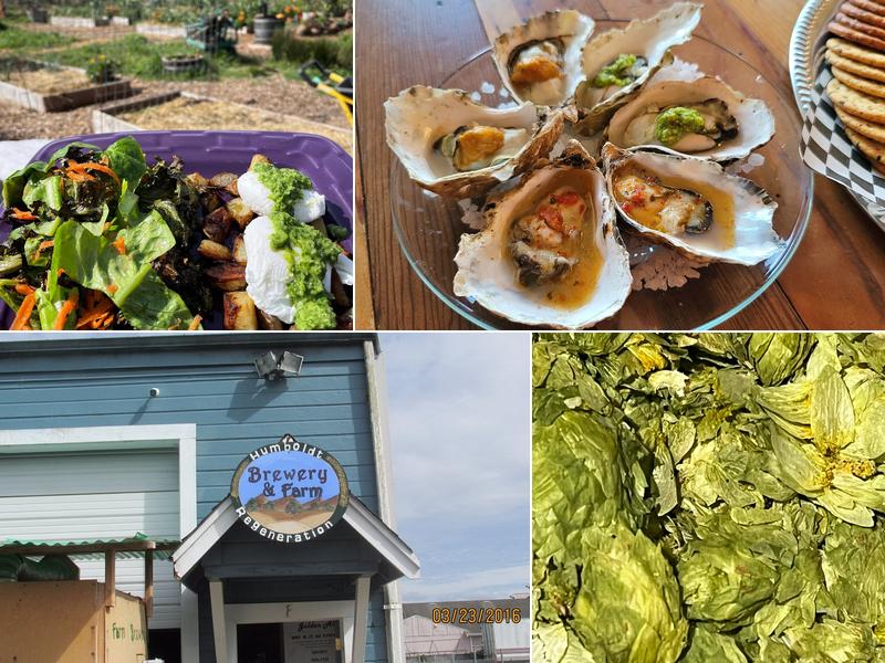 Humboldt Regeneration