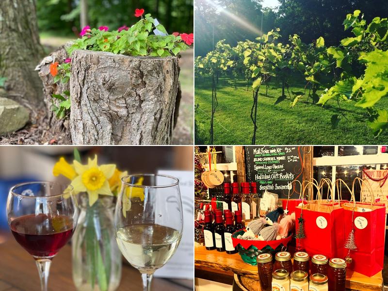 Blind Squirrel Winery 7918 Pettibone Rd, Chagrin Falls