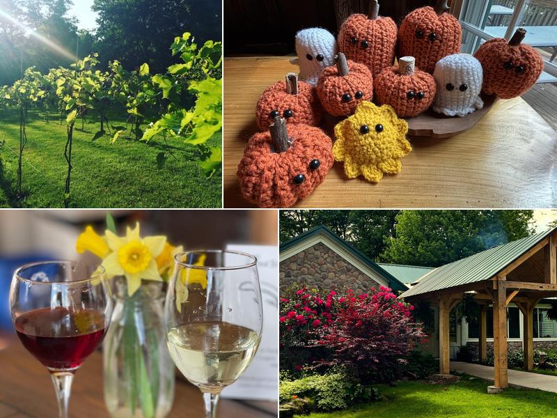 Blind Squirrel Winery