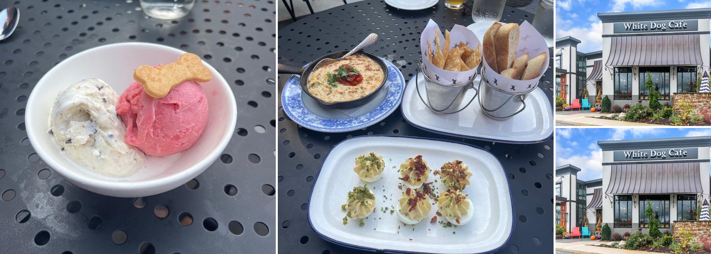 White Dog Cafe Glen Mills