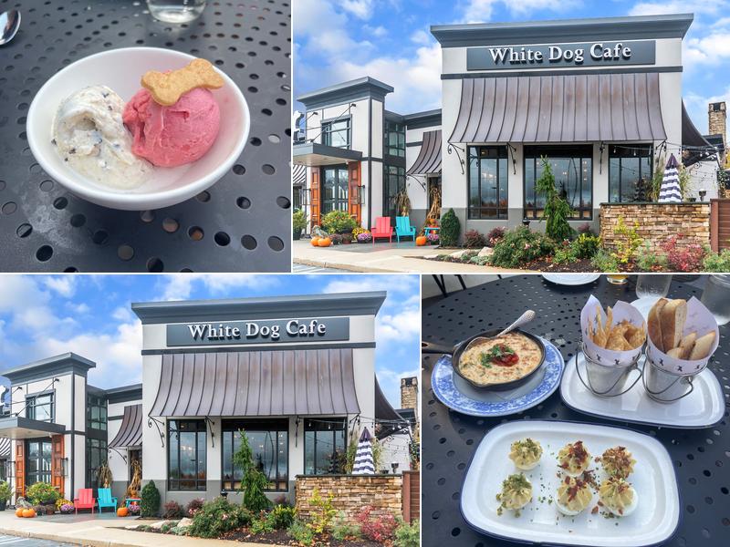 White Dog Cafe Glen Mills