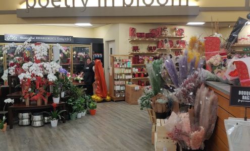 Prune Tree Center Prunedale