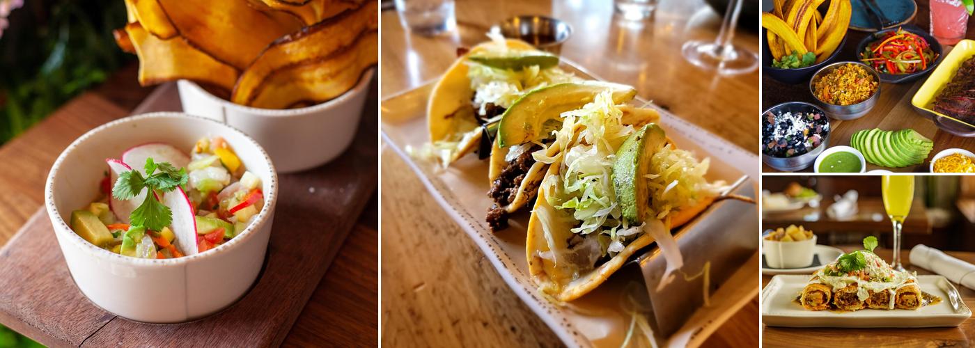 My Neighbor Felix LoHi