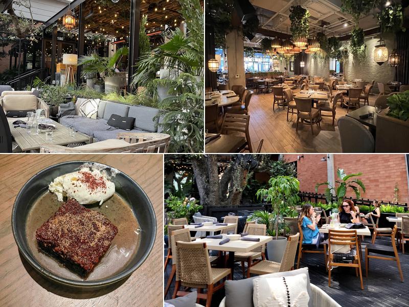 Aba Austin 1011 S Congress Ave Bldg 2 Suite 180, Austin