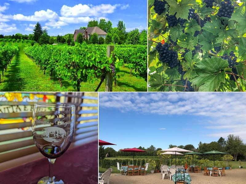 Valentino Vineyards & Winery