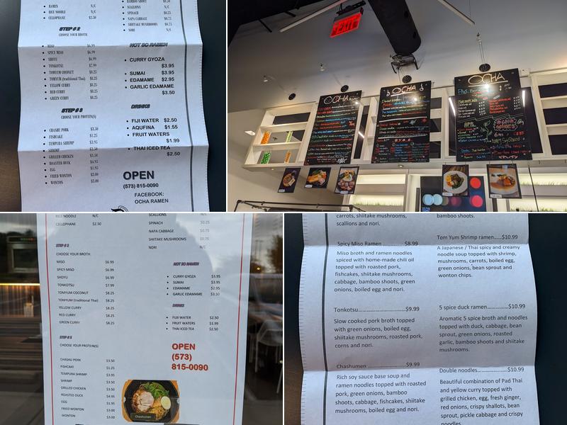 Ocha Noodles and Ramen Menu