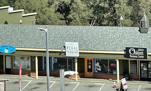 Pedal Forward Bikes & Adventure