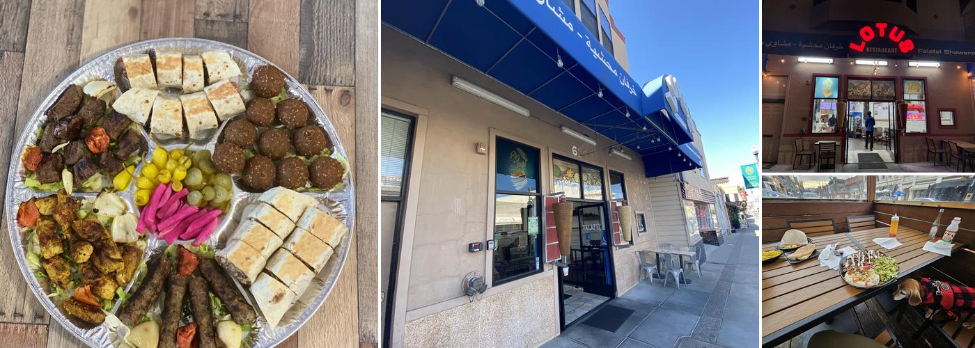 Lotus Falafel and Shawerma-SAN BRUNO