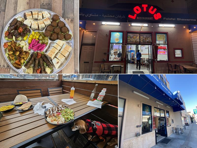 Lotus Falafel and Shawerma-SAN BRUNO