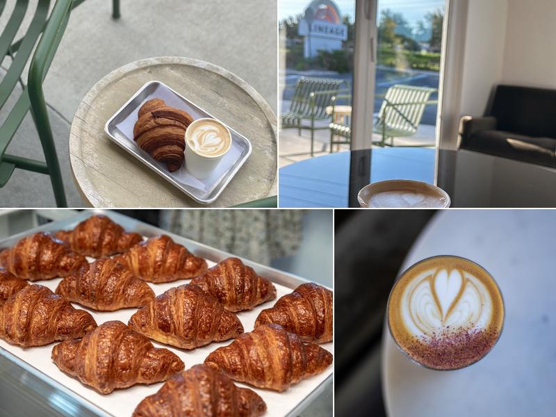 Lineage Coffee Roasting