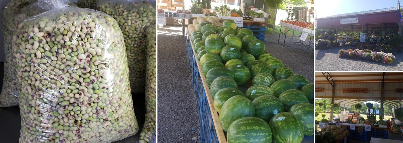 Cullman Peach Orchard