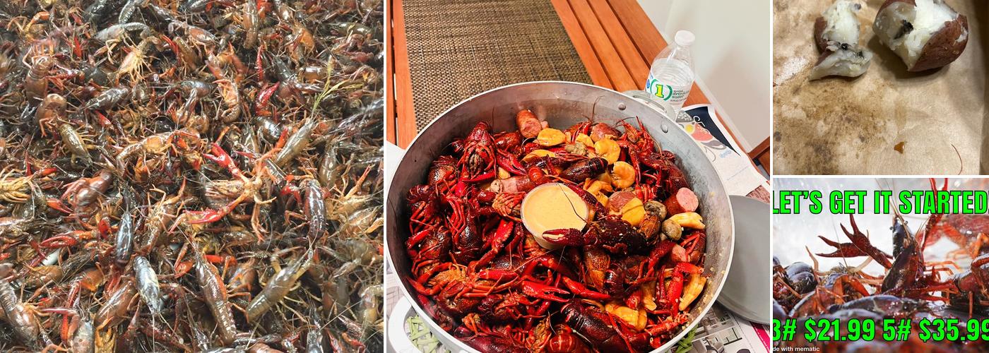 The Crawfish Pot