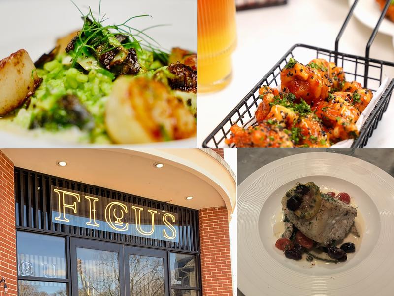 Ficus | Restaurant, Cafe & Gallery