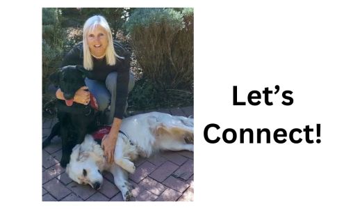 Marcia Hadeler, Realtor, Napa Valley