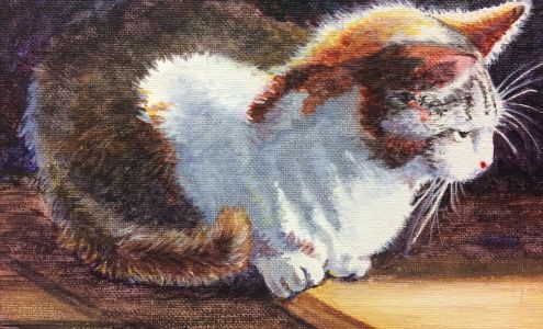 Showcase Art Center, LLC