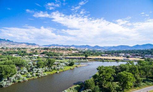 Jesse Dalton - State Farm Insurance Agent