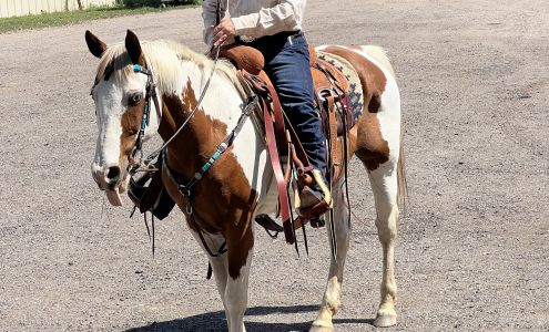 Stockton's Plum Creek Stables