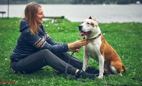 Bruce Oyler - State Farm Insurance Agent