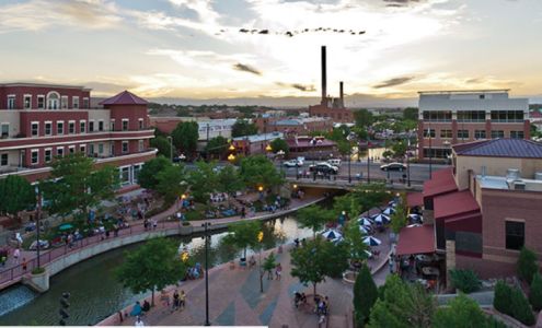 Farmers Insurance - Molly Halverson