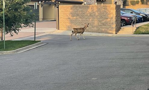 Resort at University Park