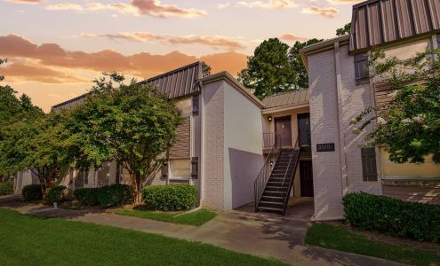 Thirty - One 32 Cypress