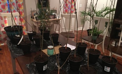 Panter Nursery