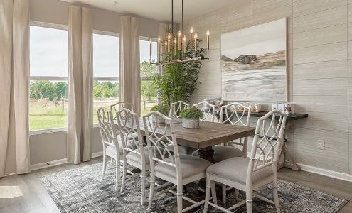 Accent Rug and Decor Inc