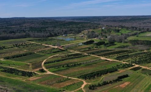 3AM Growers 19570 Rifle Range Rd, Tallassee Alabama 36078