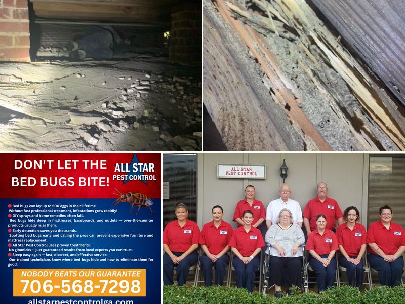 All Star Pest Control