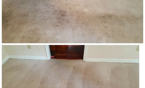 Bailey’s Renew-o-vators Cleaning Service